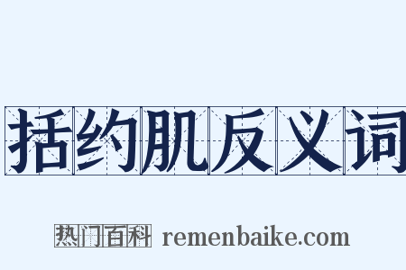 括约肌反义词是什么意思的图片